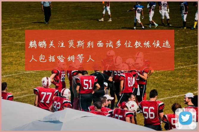 鹈鹕关注莫斯利面试多位教练候选人包括哈姆等人