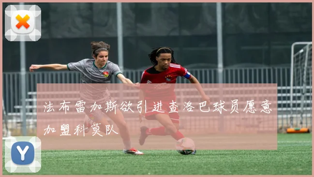 法布雷加斯欲引进查洛巴球员愿意加盟科莫队